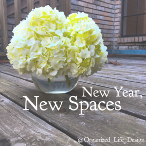 professional organizer houston get organized new year new spaces organizing tips